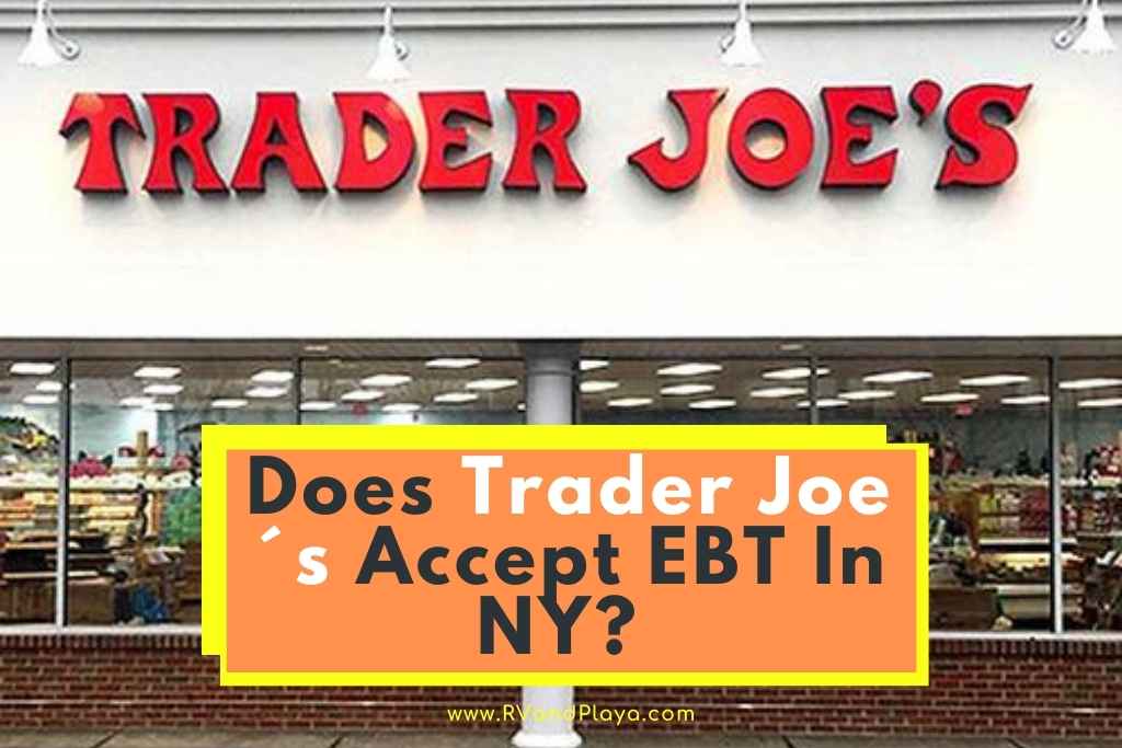 does trader joe's accept ebt in ny