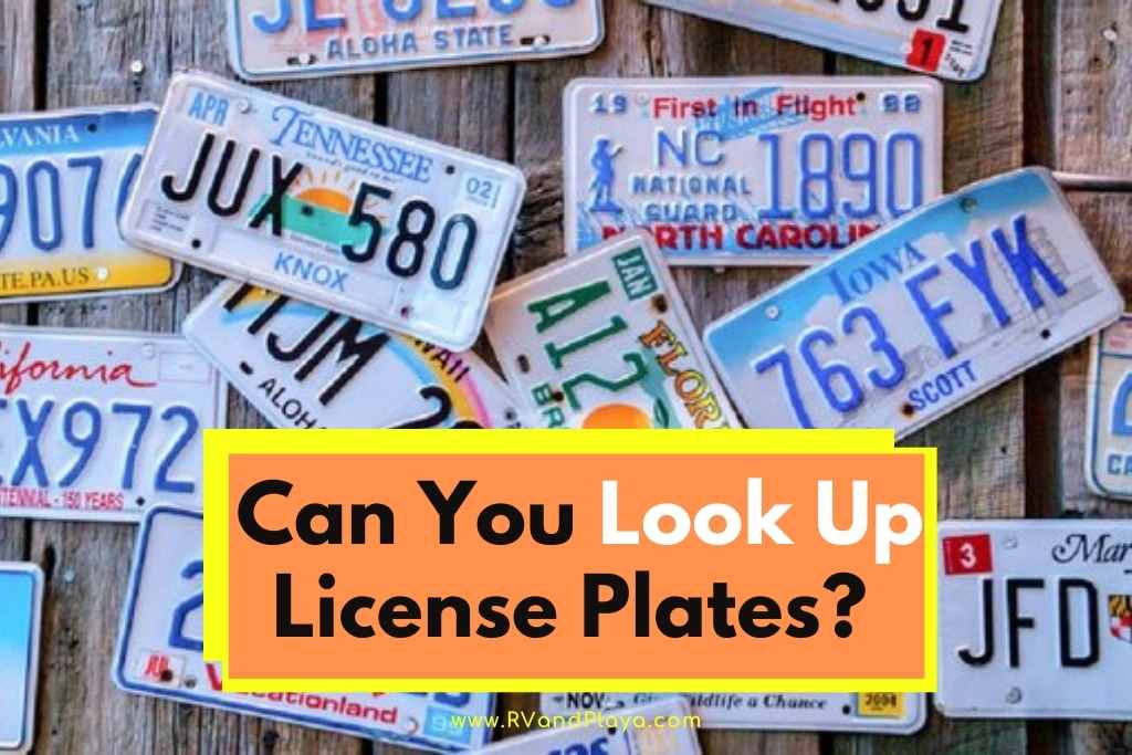 Can You Look Up License Plates