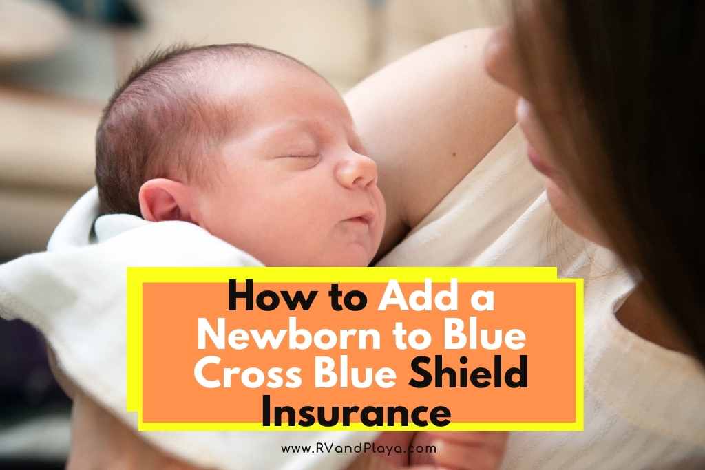 how to add newborn to insurance blue cross blue shield