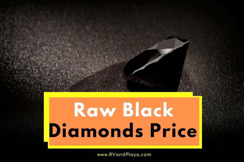 Raw Black Diamonds Price