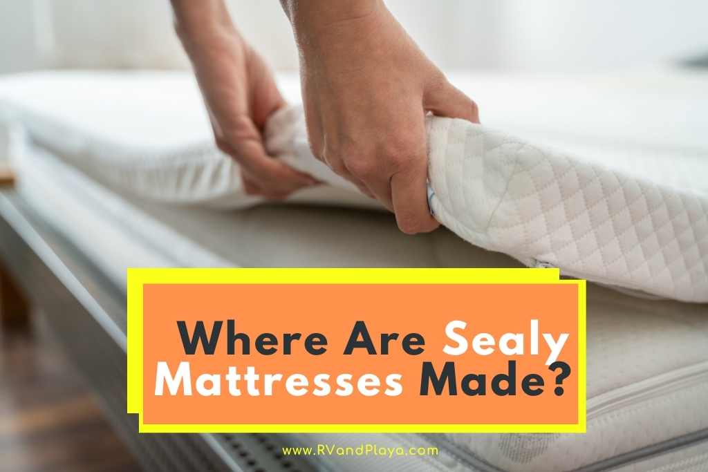 complaints about sealy mattresses