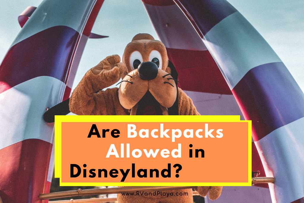 Are Backpacks Allowed in Disneyland